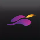 Robinhood for PC Robinhood for PC